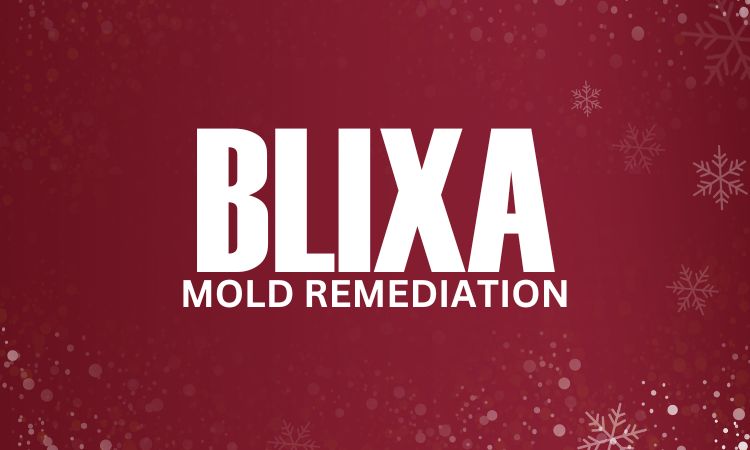Blixa Mold Remediation - Mold Services